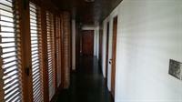 Tranquility Estate Bed And Breakfast Kingston Ngoại thất bức ảnh